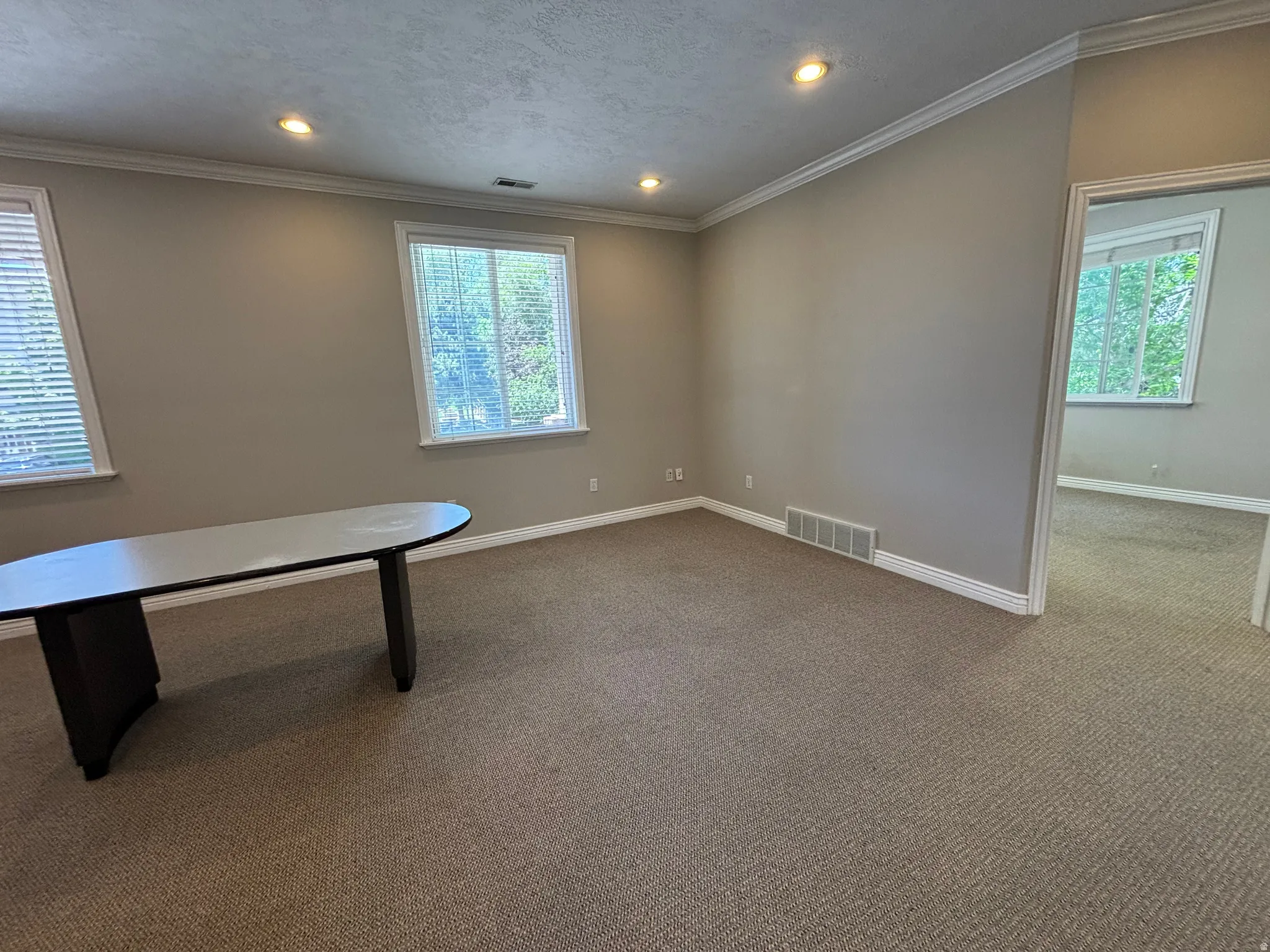 Spacious room featuring neutral carpeting, multiple windows with blinds, recessed lighting, crown molding, and painted baseboards
