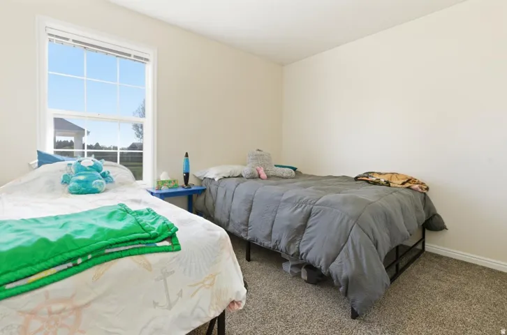 Bright interior space with a large window, neutral wall paint, and plush carpeting