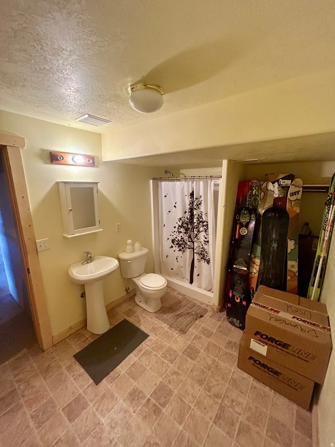 Bathroom featuring a pedestal sink, toilet, and shower with a shower curtain