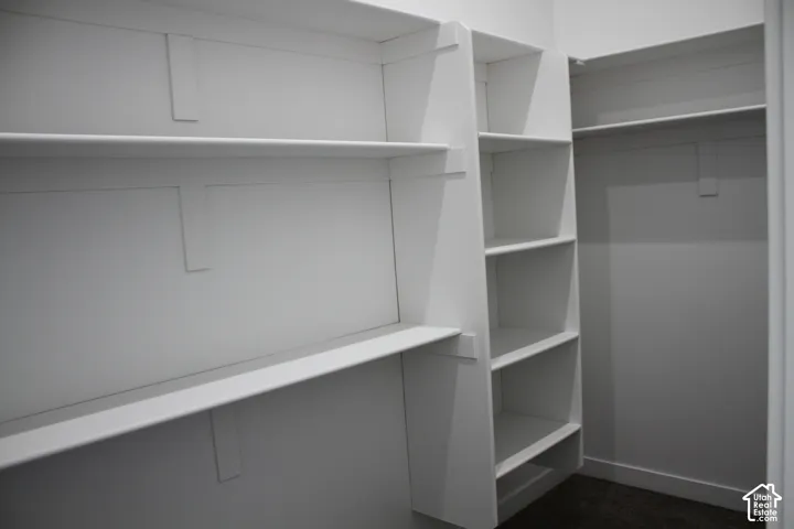 Primary Bedroom Walk In Closet