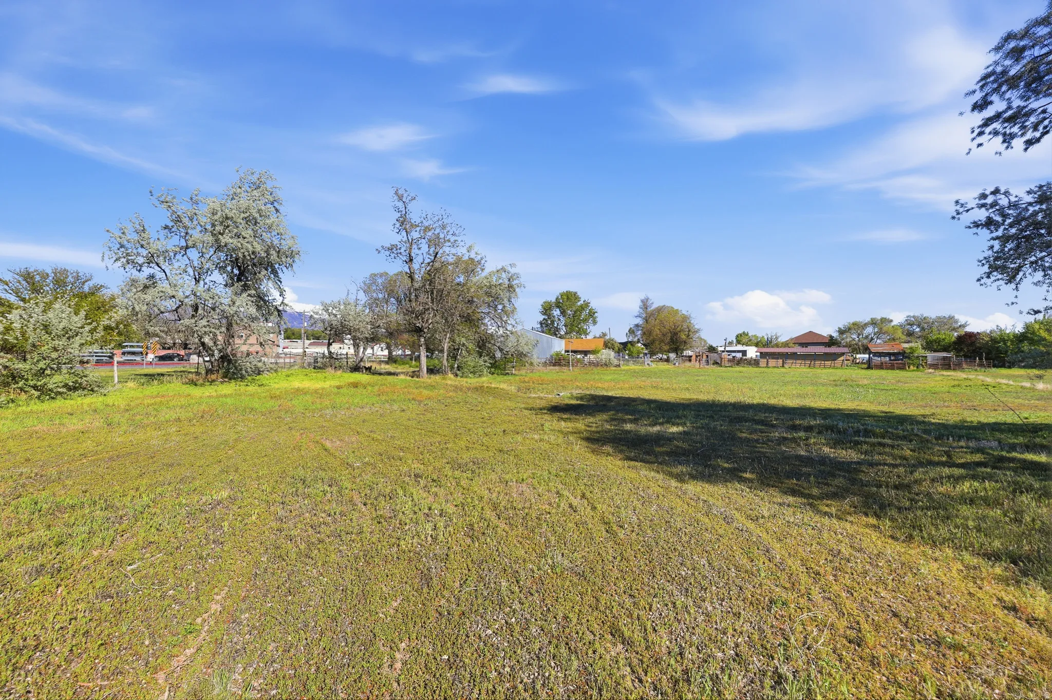 Expansive grassy lot featuring a distant mountain range and scattered trees