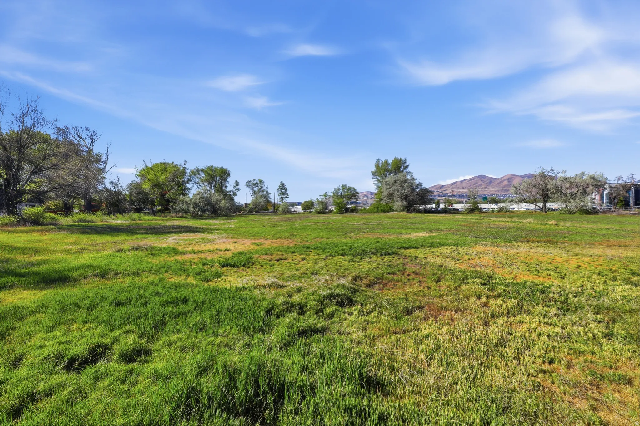 Expansive lot featuring varied green ground cover and mature trees
