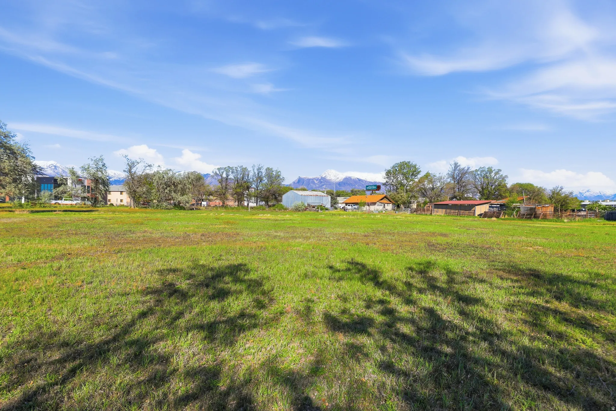 Expansive green field with natural ground cover