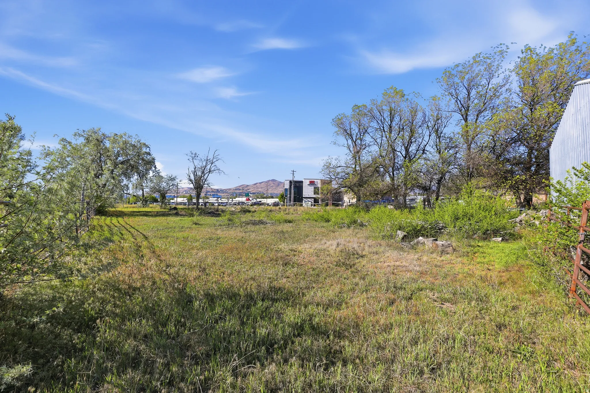 Expansive outdoor area featuring natural vegetation and mature trees