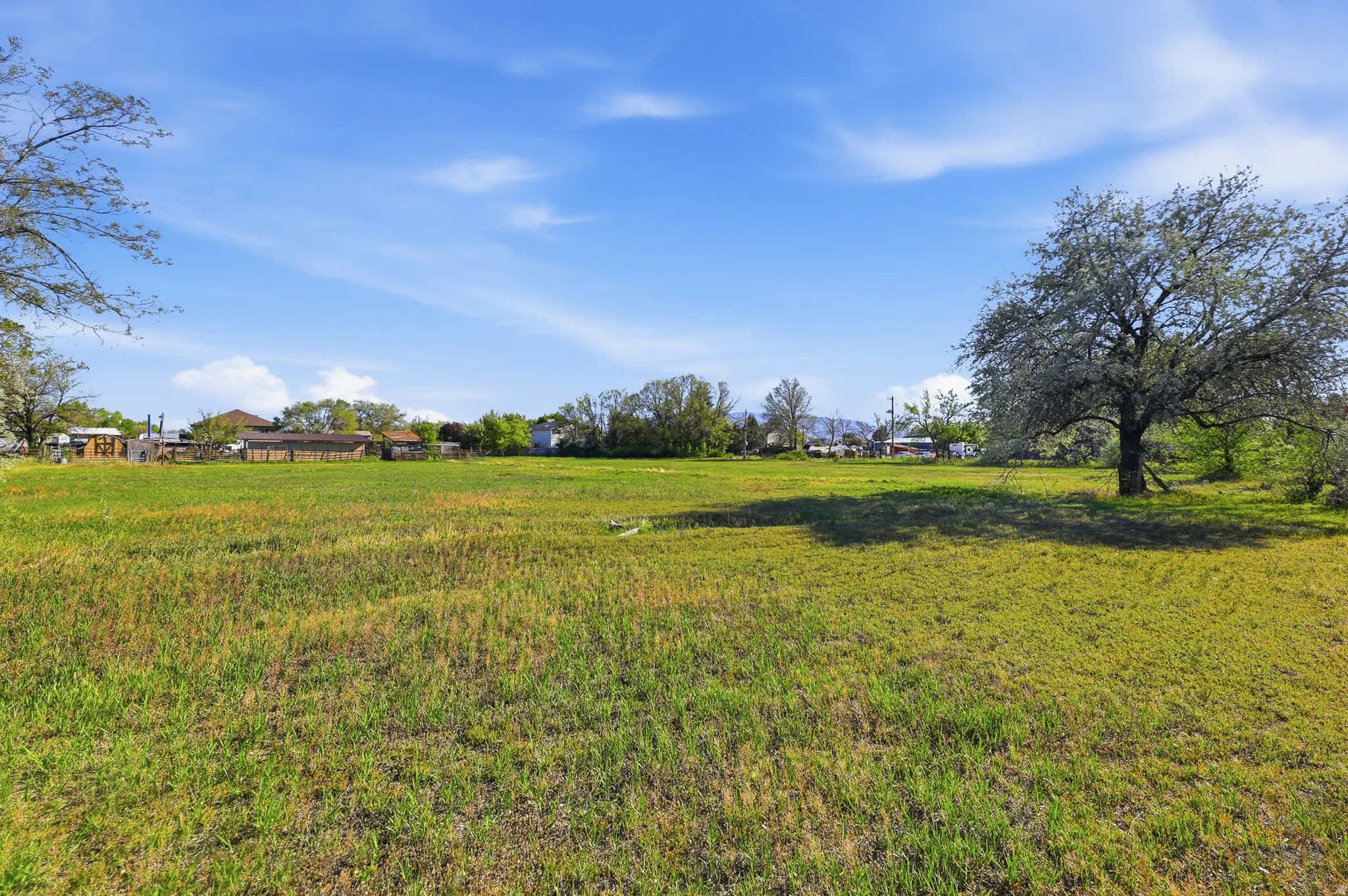 Expansive grassy lot featuring mature trees and a clear blue sky