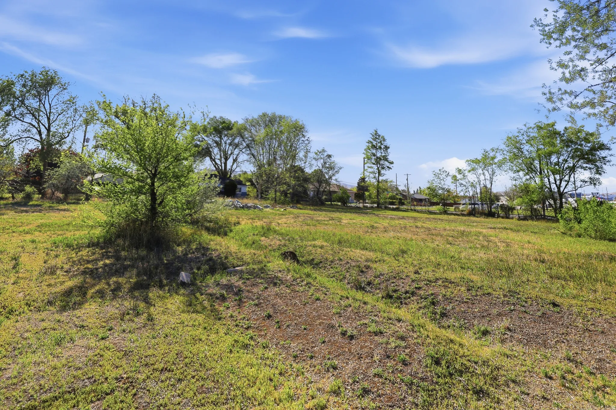 Expansive lot featuring a gently sloping terrain, scattered mature trees, and natural ground cover