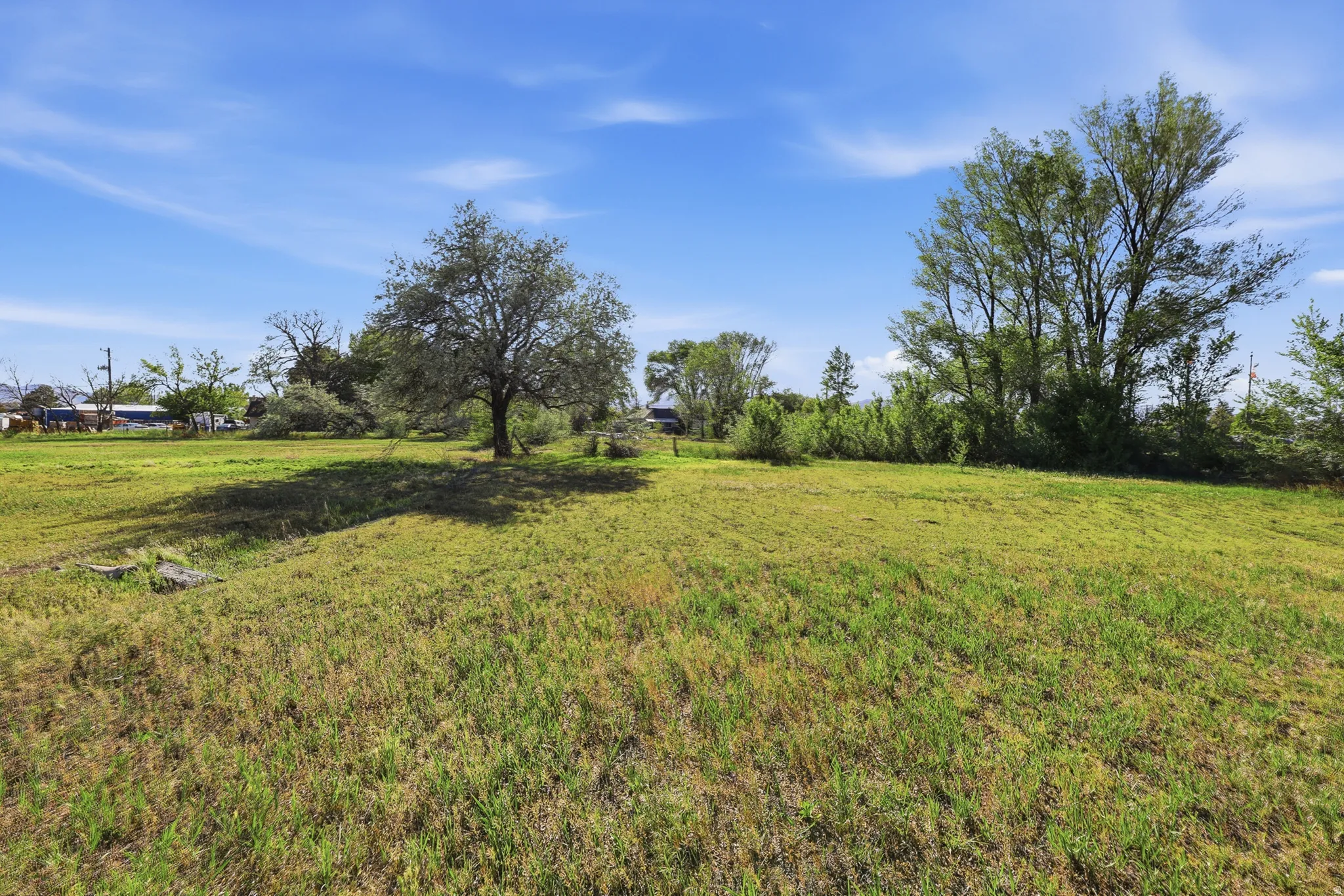 Expansive green space featuring mature trees and open areas