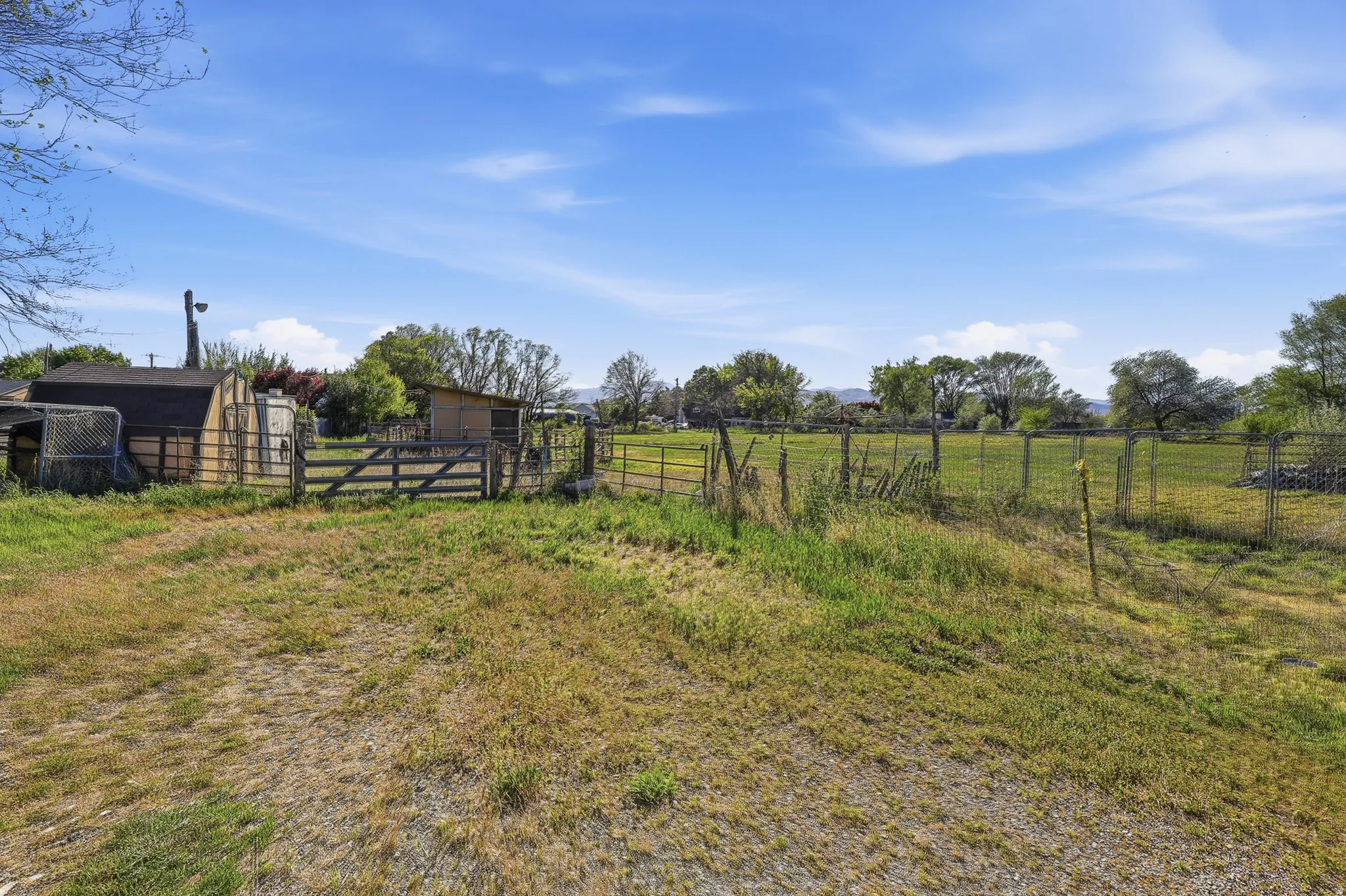 Expansive open field featuring varied ground cover and distant trees