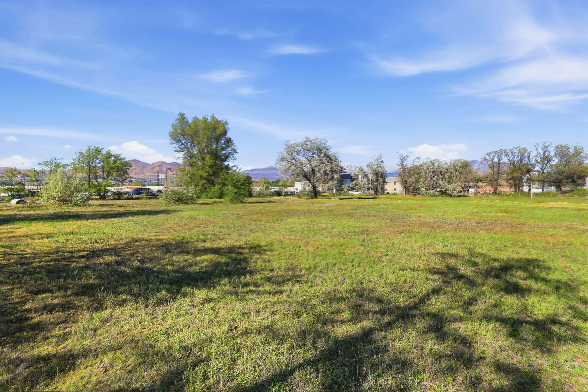 Expansive grassy lot with scattered trees and distant mountain ranges