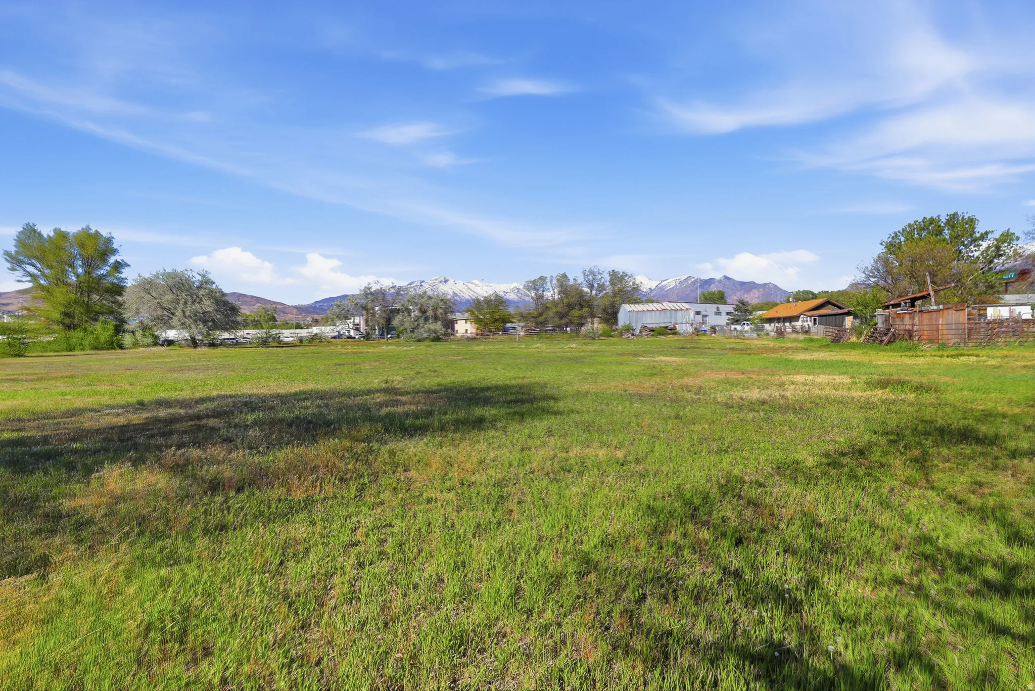 Expansive green space featuring distant mountain peaks, scattered mature trees, and a clear blue sky