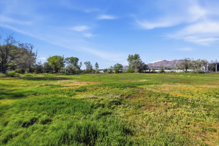 Expansive lot featuring varied green ground cover and mature trees