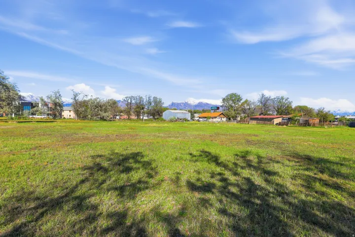 Expansive green field with natural ground cover