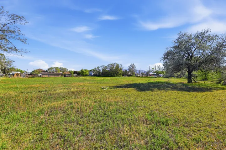 Expansive grassy lot featuring mature trees and a clear blue sky