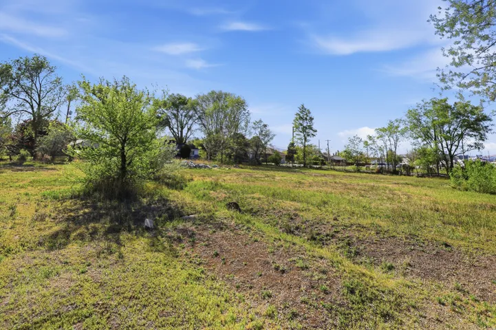 Expansive lot featuring a gently sloping terrain, scattered mature trees, and natural ground cover