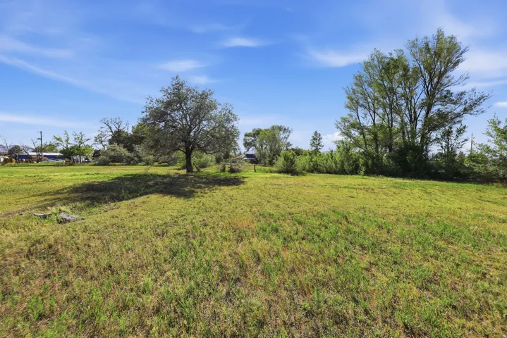 Expansive green space featuring mature trees and open areas