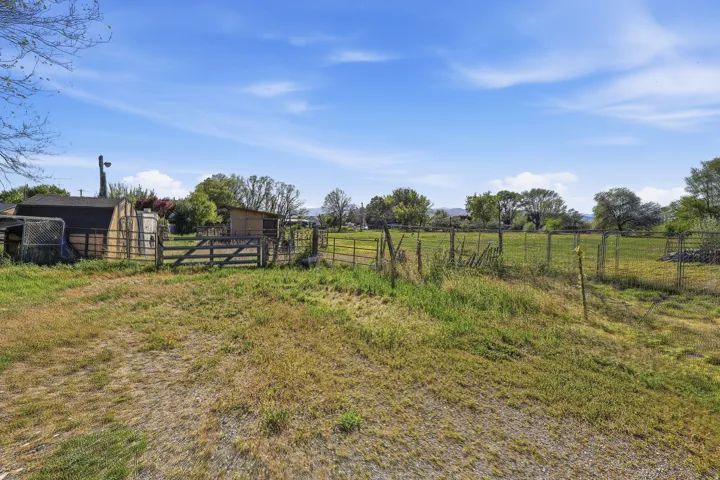 Expansive open field featuring varied ground cover and distant trees