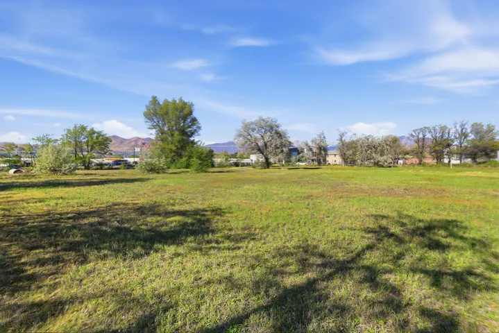 Expansive grassy lot with scattered trees and distant mountain ranges