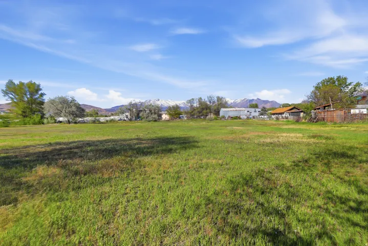 Expansive green space featuring distant mountain peaks, scattered mature trees, and a clear blue sky