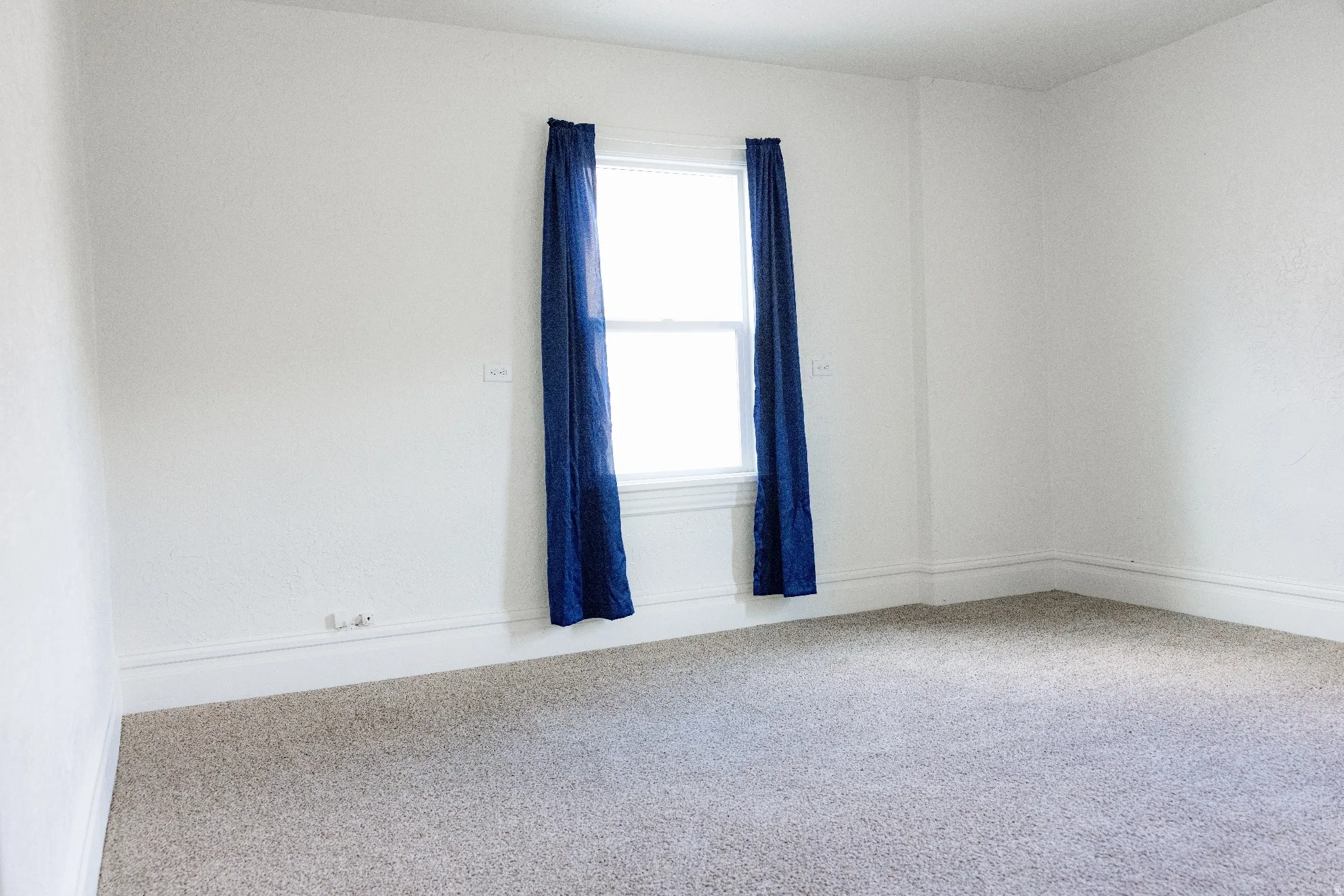 Neutral wall paint with carpeted flooring and white trim