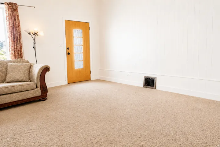 Interior room featuring light-toned carpeting, white vertical plank wall paneling, and a natural wood door with frosted glass inserts