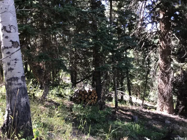 View of undeveloped land