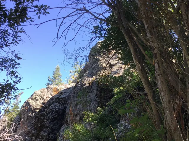 View of undeveloped land