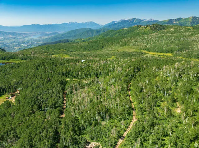 Expansive forested terrain with diverse tree coverage, including aspen and pine
