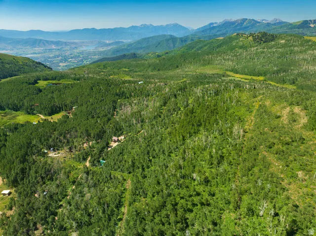 Expansive land parcel featuring dense evergreen and deciduous trees