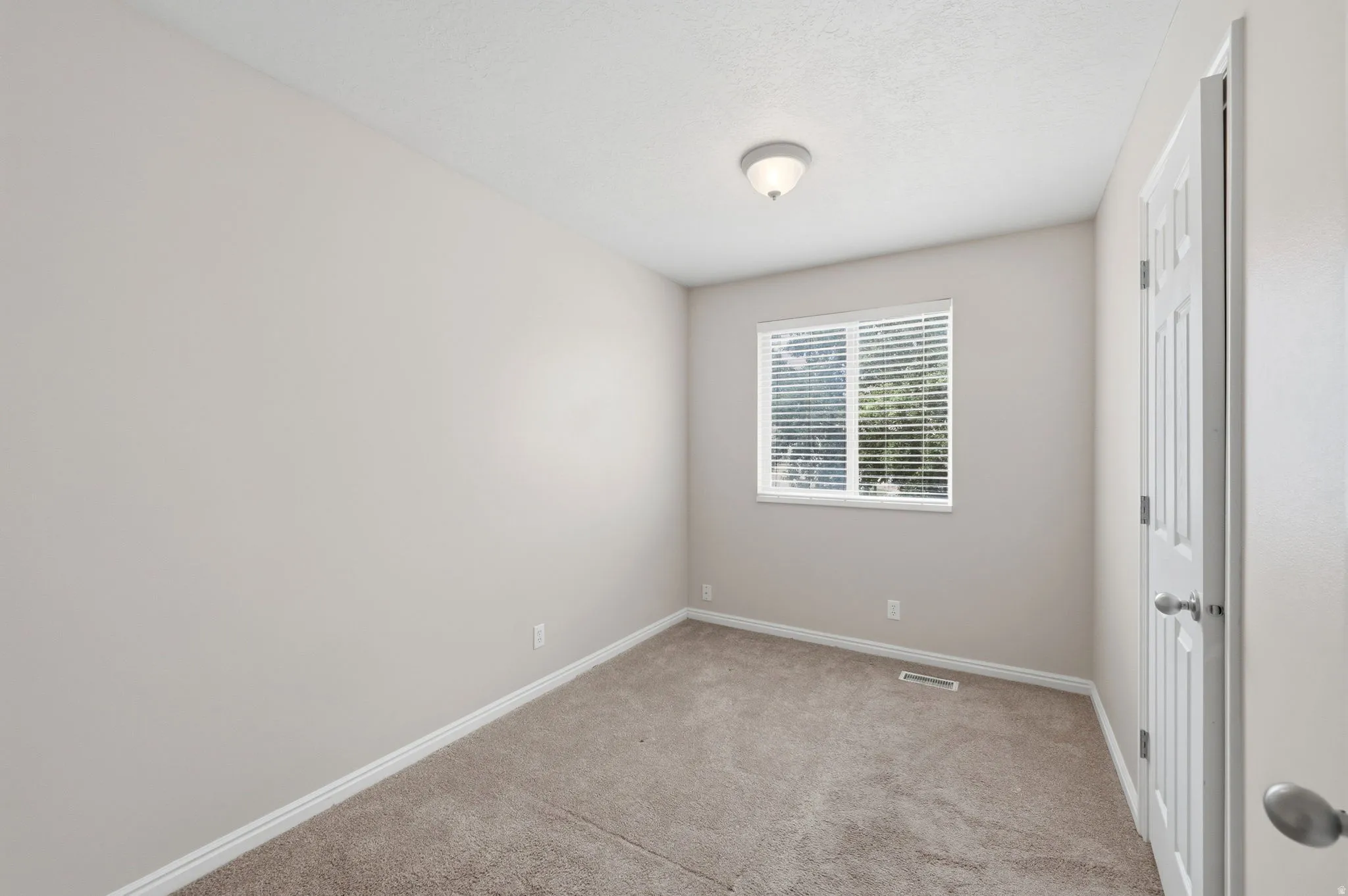 Neutral-toned room featuring a single window with blinds, carpet flooring, a flush-mount ceiling light, and a white paneled door