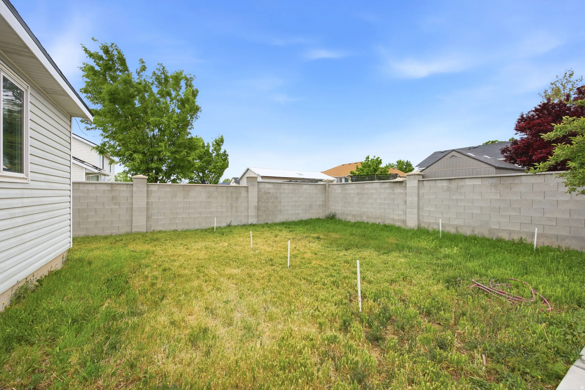 Private backyard space with a full-height concrete block perimeter wall