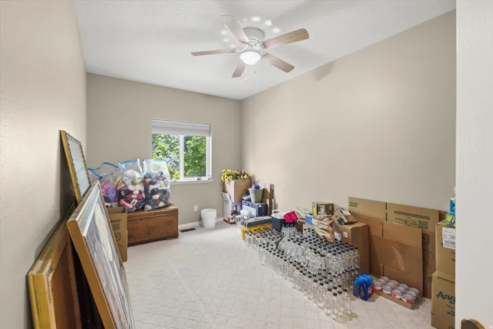 Carpeted room featuring a ceiling fan, a window with exterior tree views, and light-colored walls