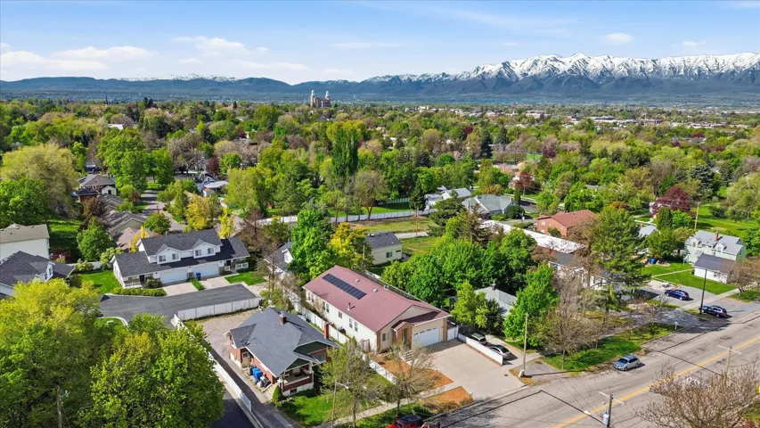 Aerial perspective showcasing a residential area with mature trees and a distant mountain range