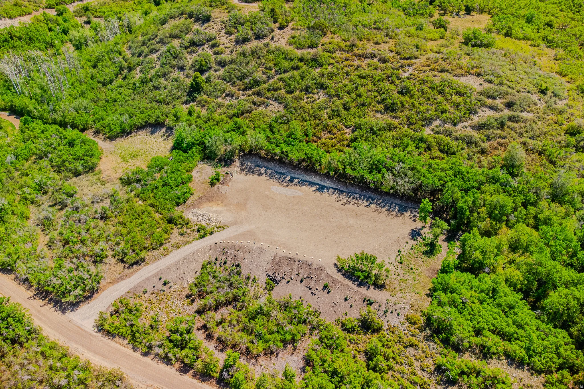 Expansive natural landscape featuring lush green vegetation and rolling terrain