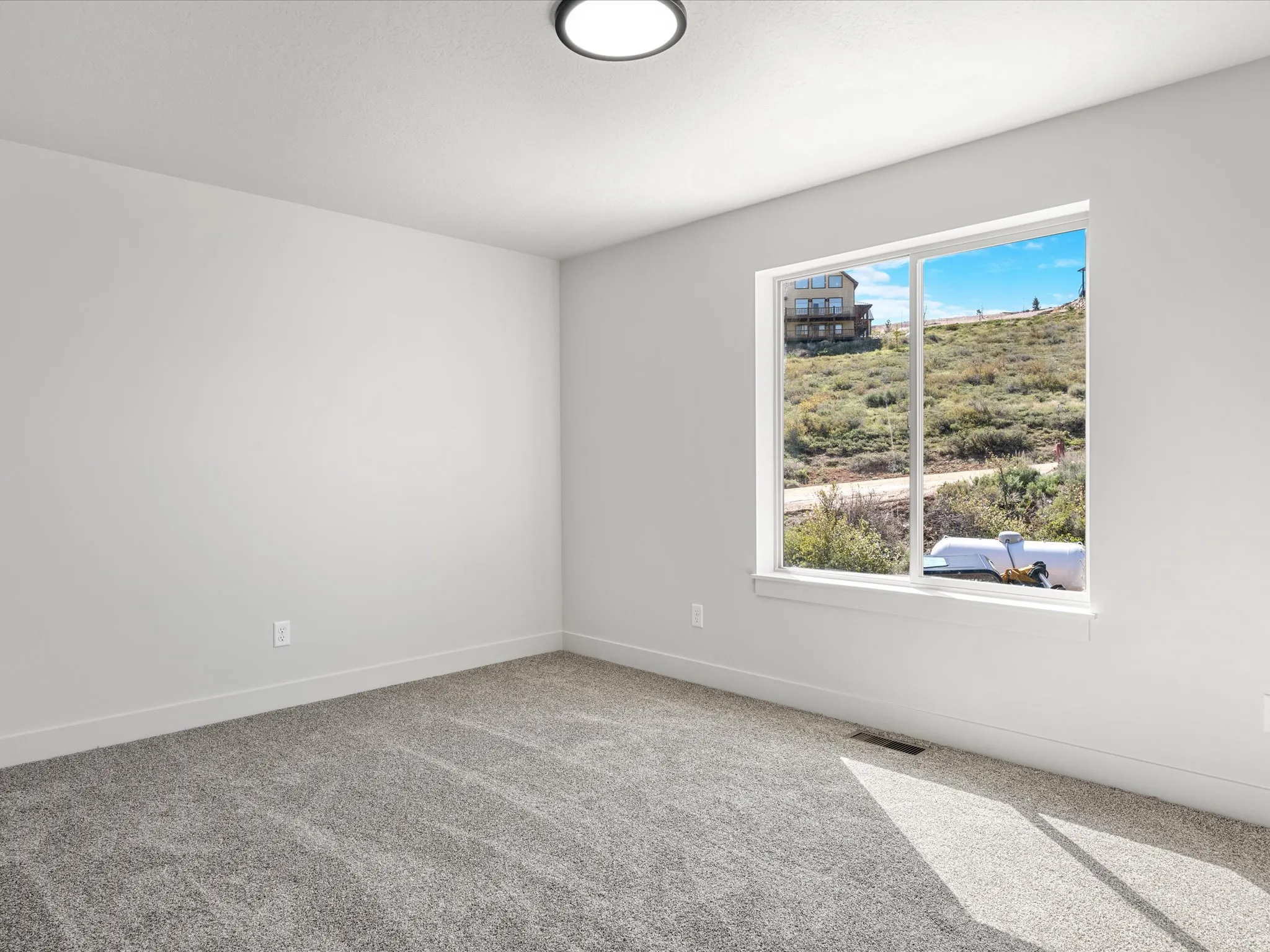 Room featuring neutral gray carpeting and white painted walls, illuminated by a contemporary flush-mount ceiling light