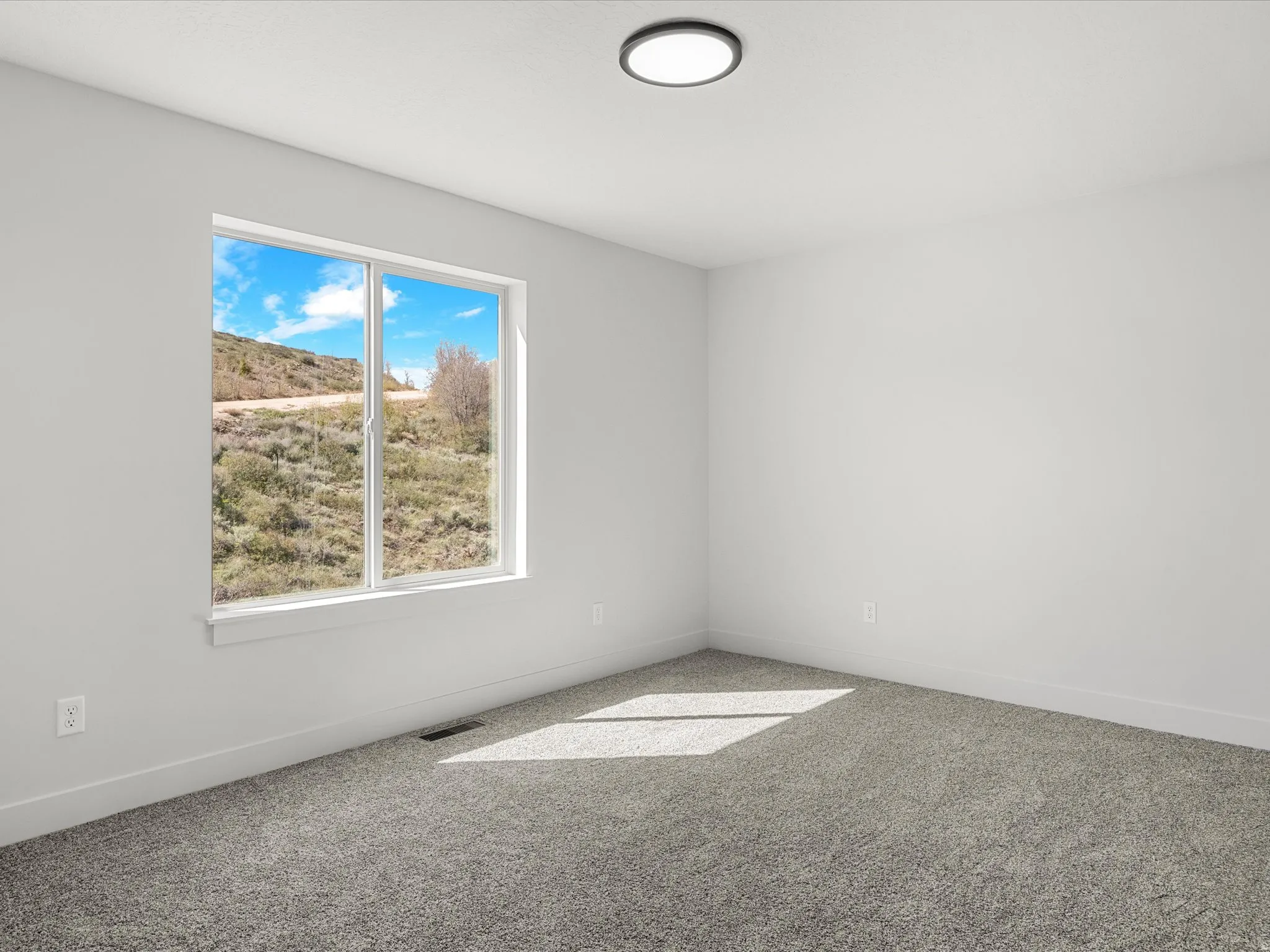 Spacious room featuring a large window, neutral wall paint, gray carpeting, white trim, and a flush-mount ceiling light