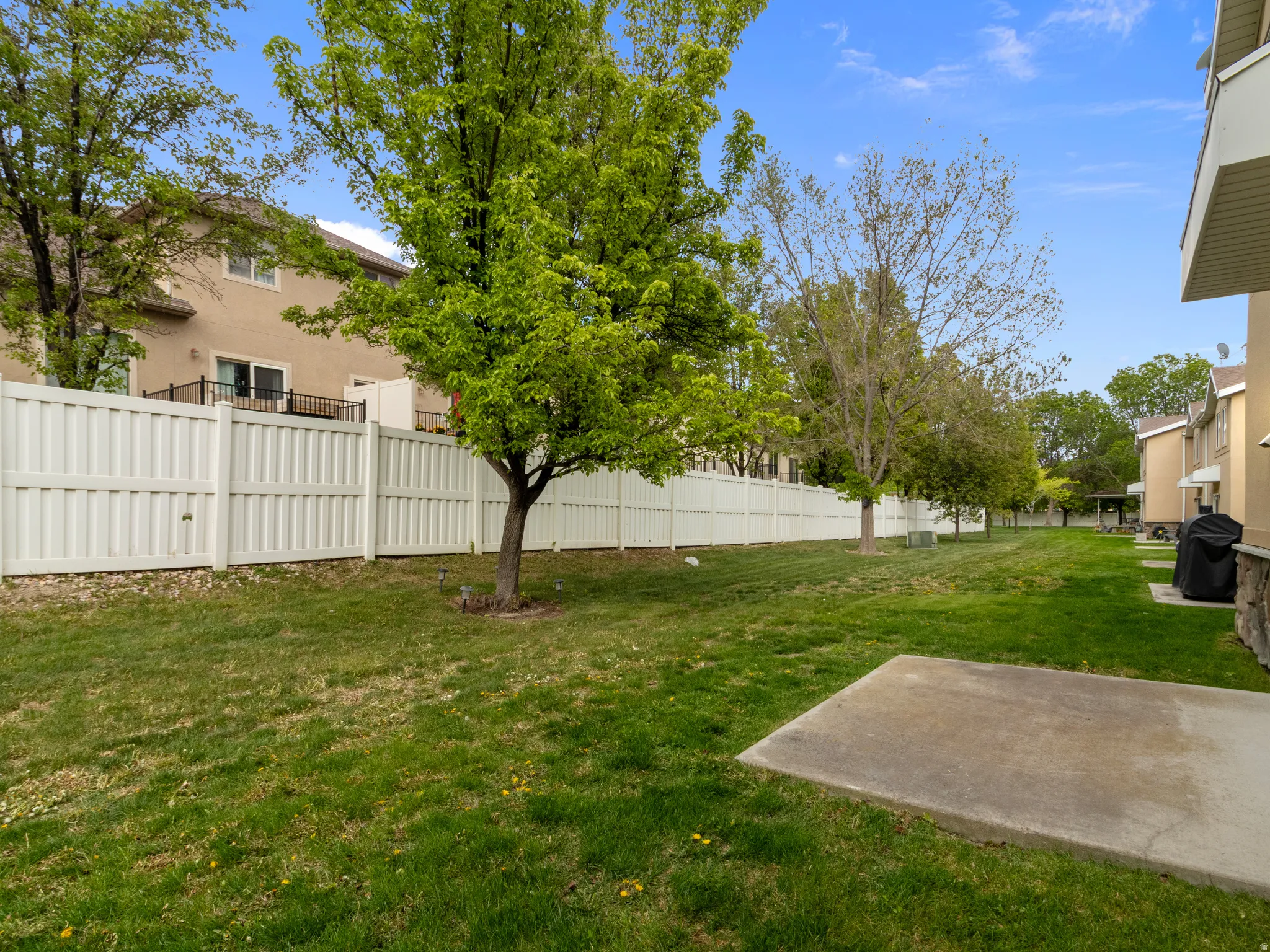 Expansive grassy yard featuring mature trees and a white privacy fence
