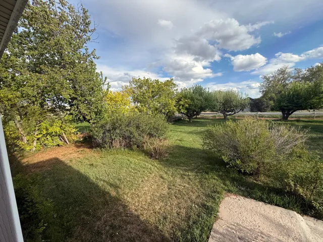 Expansive outdoor space featuring a verdant lawn, mature trees, established shrubs, and a concrete patio section