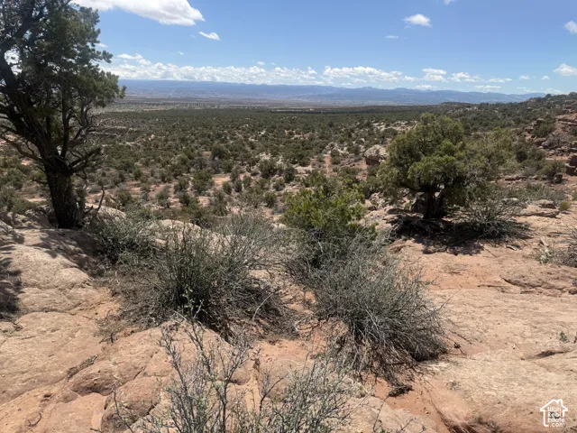 Expansive natural landscape featuring scattered green foliage and distant land formations