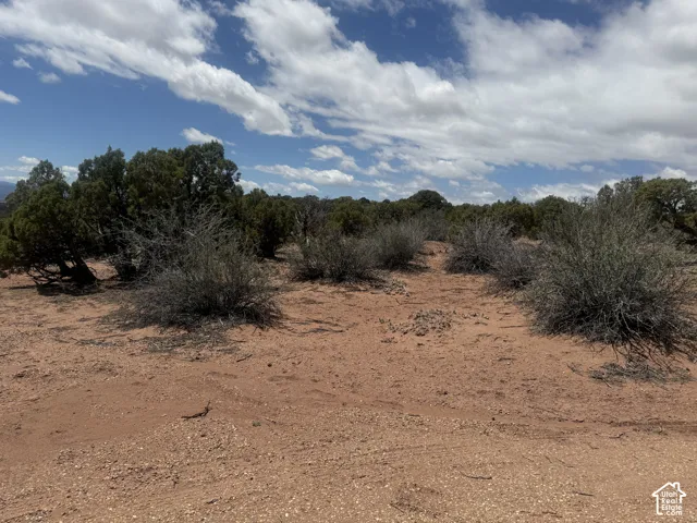 Expansive natural landscape featuring a red earth terrain, scattered green shrubs, and mature trees
