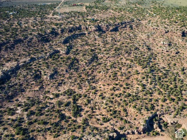 Expansive desert landscape featuring natural rock formations and scattered green foliage