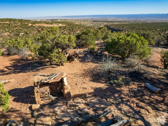 Expansive high-desert terrain featuring mature juniper trees and varied native vegetation