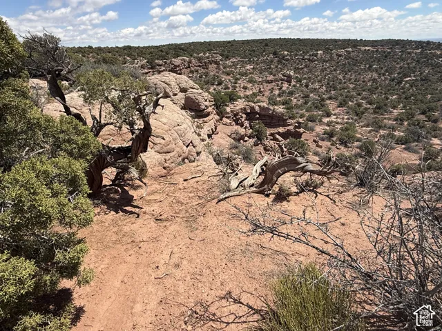 Expansive desert landscape featuring red rock formations and sparse vegetation