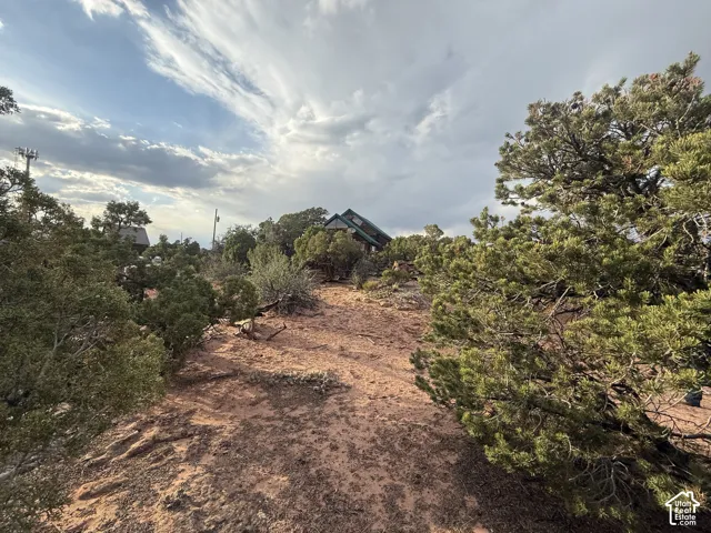 Natural desert landscape featuring red earth, diverse scrub, and mature evergreen trees