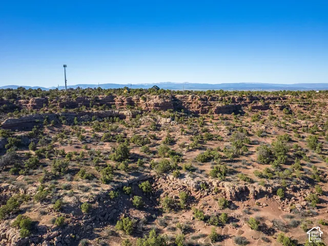 Expansive desert landscape featuring natural rock formations and abundant natural vegetation under a clear sky