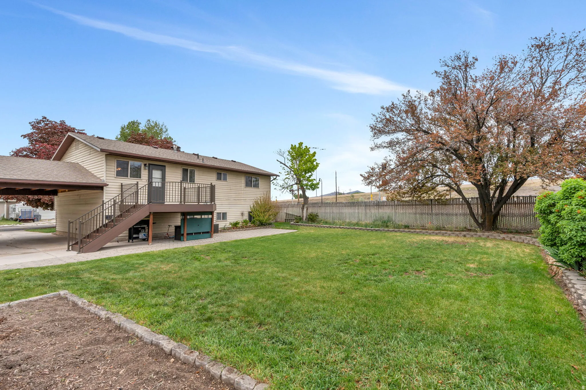 Expansive backyard featuring a large green lawn, established tree, and a wooden privacy fence