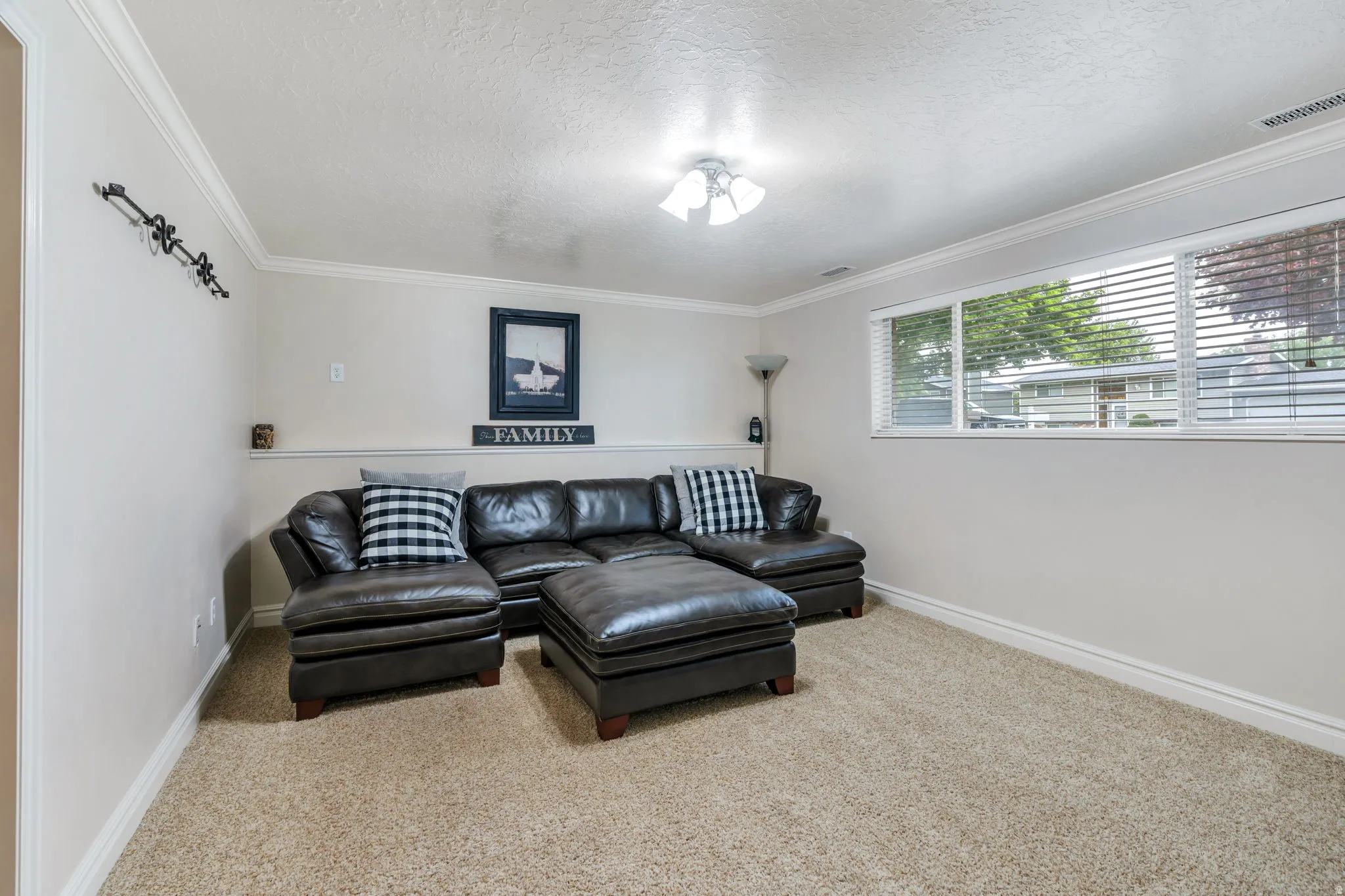 Carpeted living area featuring a large horizontal window with blinds, crown molding, and chair rail detailing
