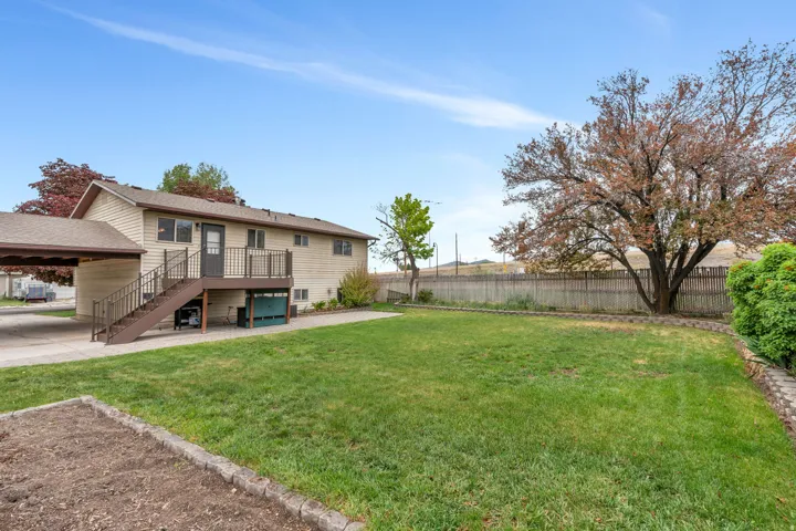 Expansive backyard featuring a large green lawn, established tree, and a wooden privacy fence
