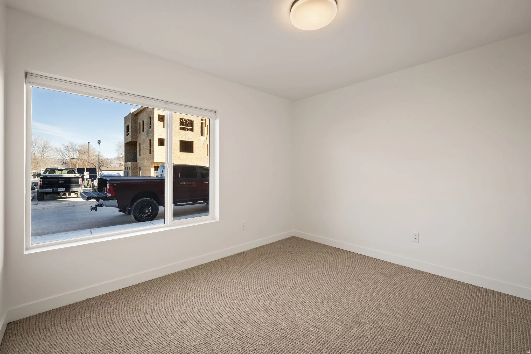 Neutral-toned carpeting paired with white walls, a white ceiling, and a flush-mount ceiling light fixture