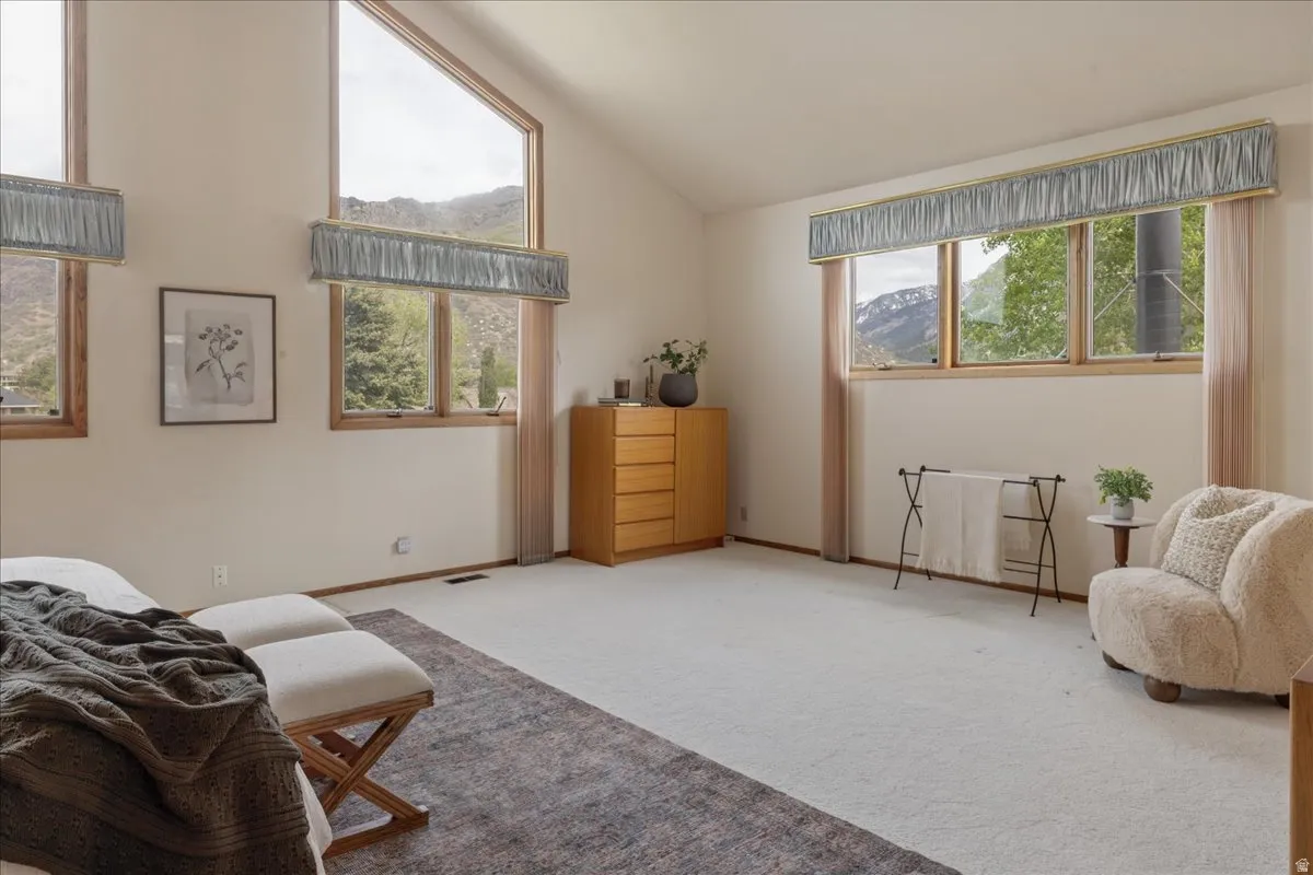 Primary bedroom. A spacious room with vaulted ceilings and abundant natural light