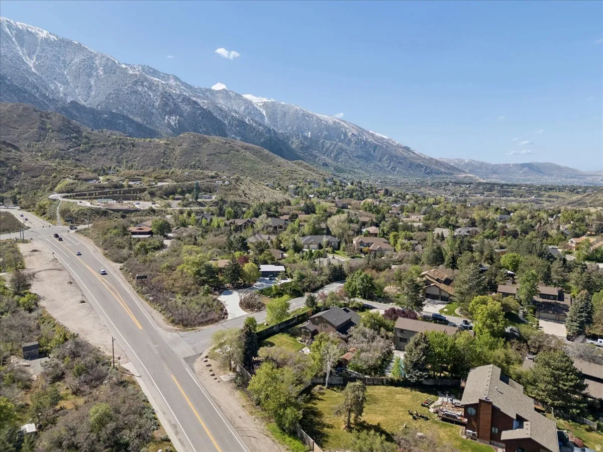 Aerial perspective showcasing a residential area with varied housing styles and mature trees